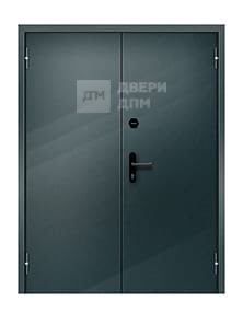 Двупольная глухая ДПМ-02 EI-45 противопожарная дверь взломостойкая